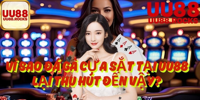Vì Sao Đá Gà Cựa Sắt Tại UU88 Lại Thu Hút Đến Vậy?