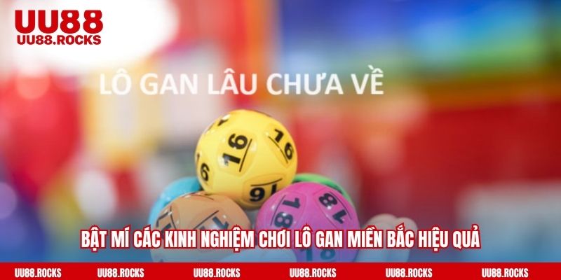 Bật mí các kinh nghiệm chơi lô gan miền bắc hiệu quả