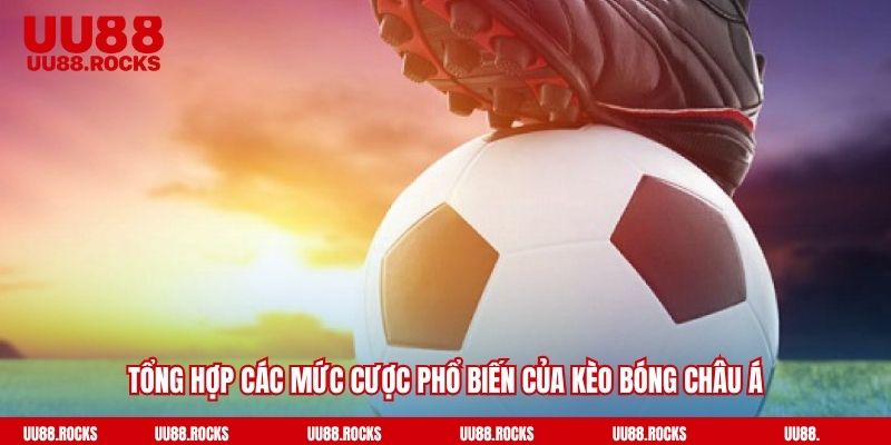 Tổng hợp các mức cược phổ biến của kèo bóng châu Á